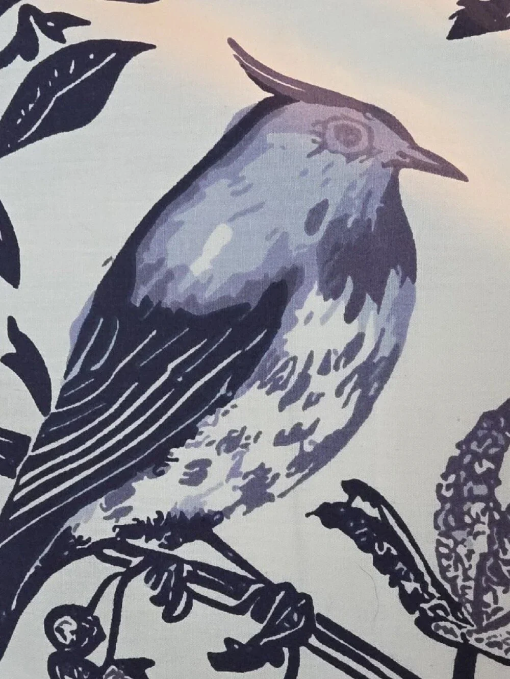 Brooklyn Loom Navy Blues Bird & Botanical Cotton King Pillow Shams